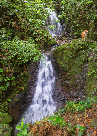La Noly Waterfall