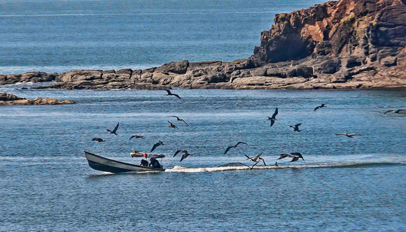 Isla Boca Brava