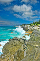 Bermuda Coast
