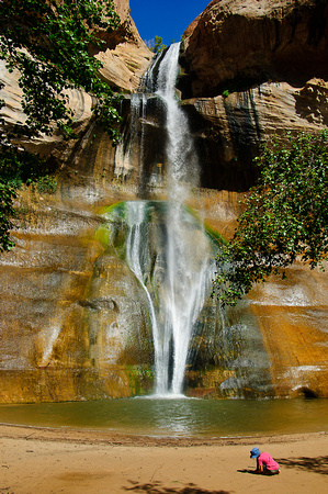 Calfs Creek Falls