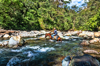 Cerro Hoya National Park