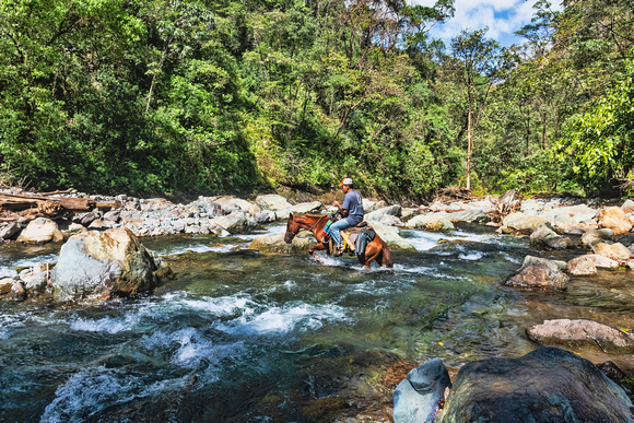 Cerro Hoya National Park